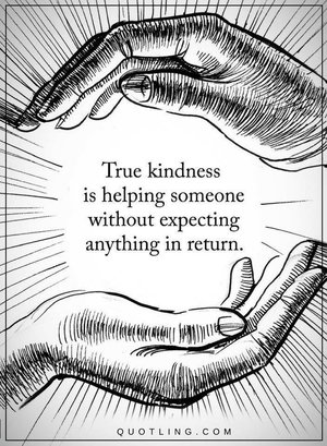 IMG_8996.JPG